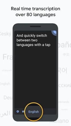 Миттєва транскрипція screenshot 1