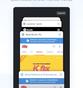 Internet Browser screenshot 2