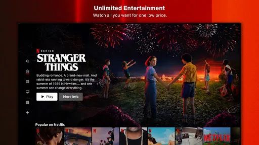 Netflix screenshot 4
