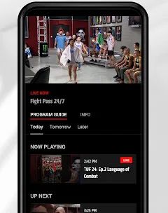 UFC screenshot 3