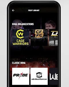 UFC screenshot 5