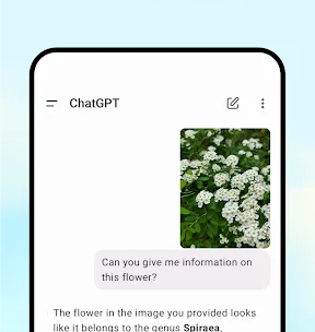 ChatGPT screenshot 4