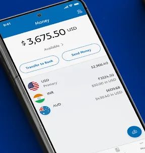 PayPal Business screenshot 3