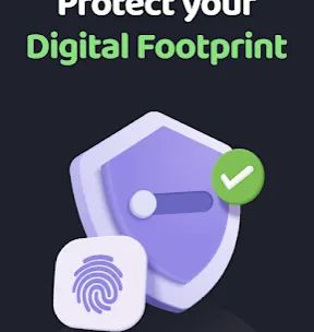 Private Internet Access VPN screenshot 1