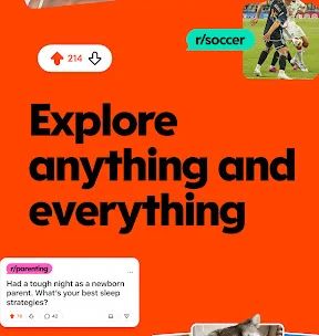 Reddit screenshot 1