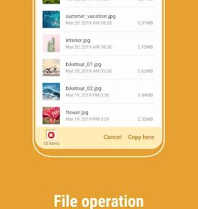Samsung My Files screenshot 3