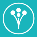 Wedding Planner by WeddingWire