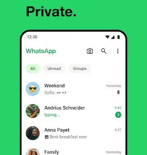 WhatsApp Messenger screenshot 1
