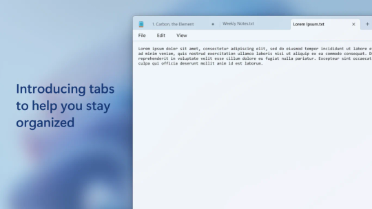 Windows Notepad screenshot 1