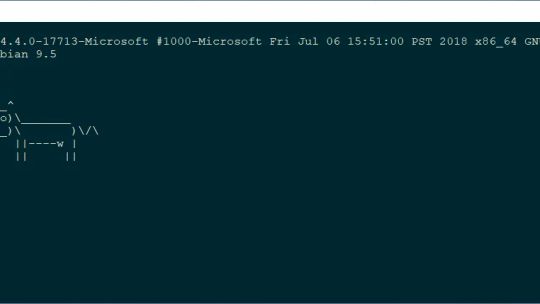 Debian screenshot 1