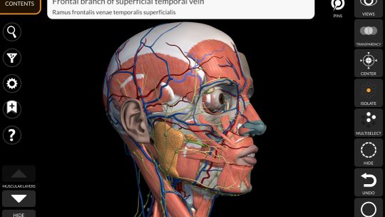 Anatomy 3D Atlas screenshot 4