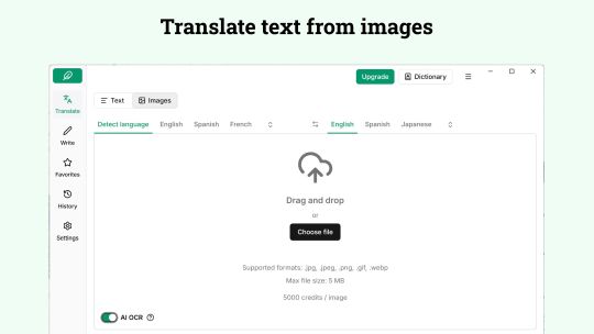 Lexibird Translate: AI Translator screenshot 3