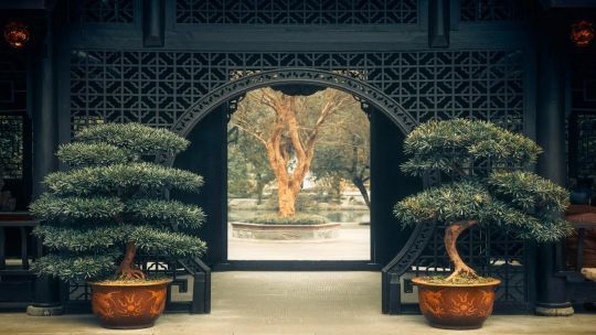 Beauty of China screenshot 1