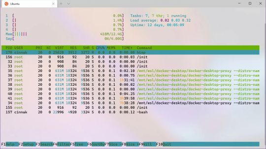 Windows Terminal screenshot 3