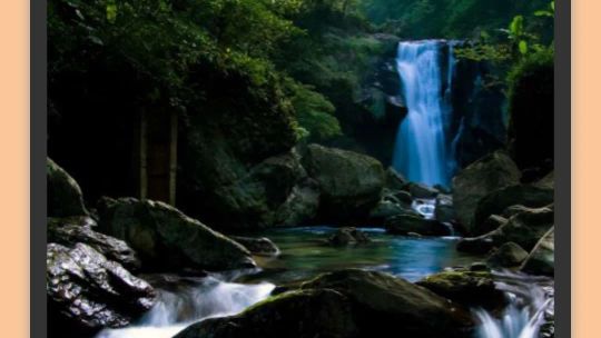 Relájese en el bosque - Sonidos de la naturaleza screenshot 1