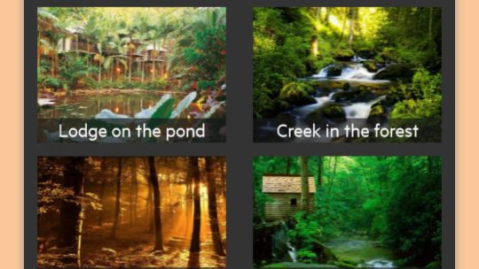 Relájese en el bosque - Sonidos de la naturaleza screenshot 4