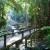 Wooden Walkways