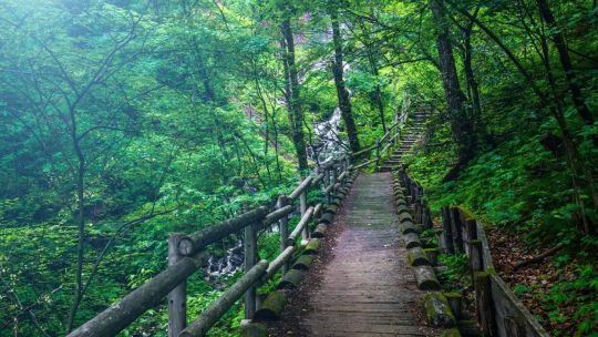Wooden Walkways screenshot 4