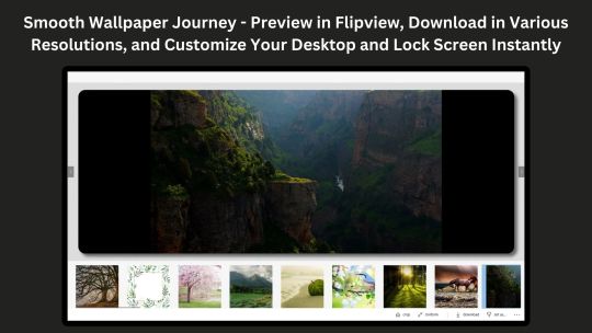 4K Wallpapers :Desktop HD Wallpapers screenshot 2