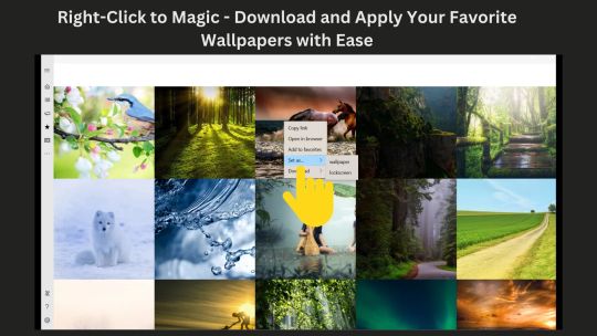 4K Wallpapers :Desktop HD Wallpapers screenshot 3
