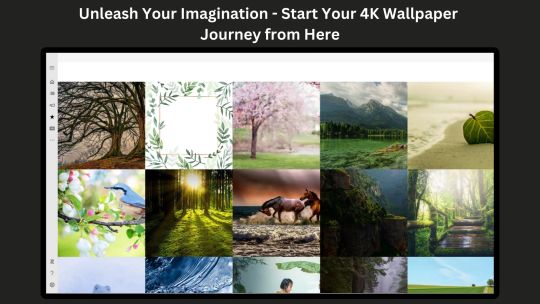 4K Wallpapers :Desktop HD Wallpapers screenshot 4