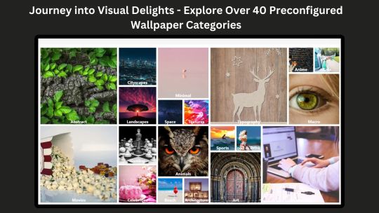 4K Wallpapers :Desktop HD Wallpapers screenshot 5
