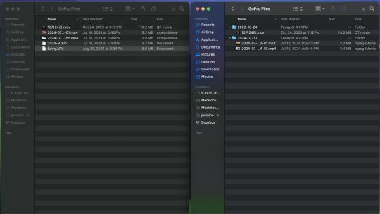 Organize GoPro Files screenshot 1