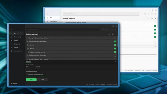 Torrent Manager screenshot 3