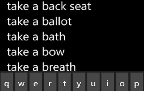 Slovo Dictionary screenshot 2