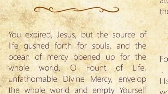 Divina Misericordia screenshot 3