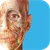 Human Anatomy Atlas 2026: Complete 3D Human Body
