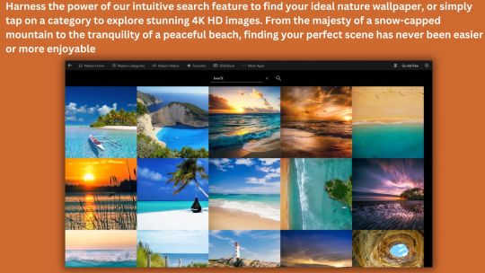 Nature Wallpapers HD – 4K Backgrounds screenshot 1