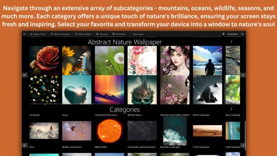Nature Wallpapers HD – 4K Backgrounds screenshot 4