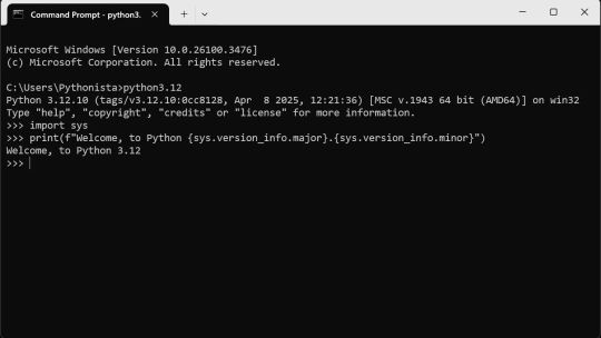 Python 3.12 screenshot 2