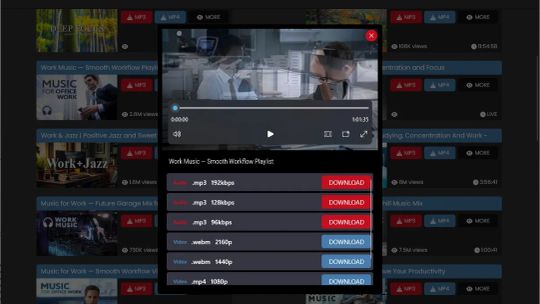 MP3Skill Descargar MP3 & Video Convertidor screenshot 2