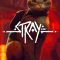 Stray