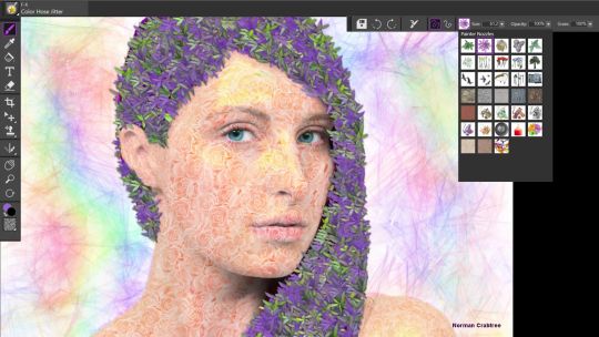 Corel Painter Essentials Microsoft Store Edition screenshot 3