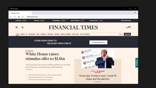 Flash Browser screenshot 1