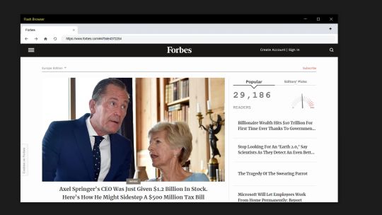 Flash Browser screenshot 2