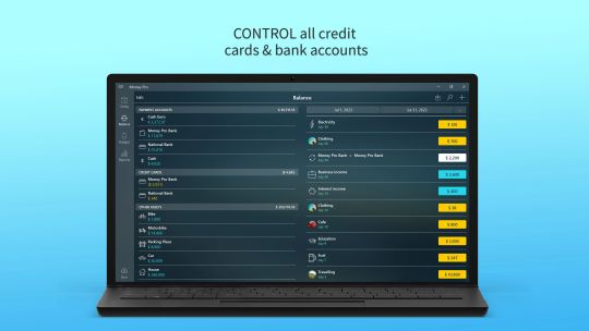 Money Pro: Personal Finance screenshot 2