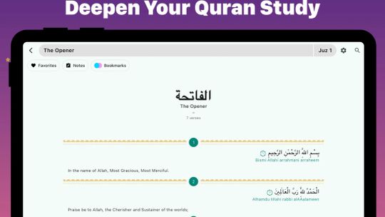 Muslim Expert screenshot 4