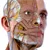 Visual Anatomy 3D - Human