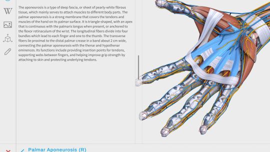 Visual Anatomy 3D - Human screenshot 1