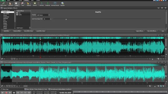 WavePad Audio Editor Software Express Edition screenshot 1