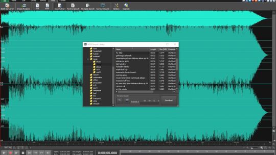 WavePad Audio Editor Software Express Edition screenshot 2