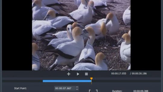 Free Video Cutter Joiner screenshot 2