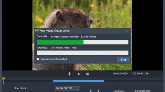 Free Video Cutter Joiner screenshot 3