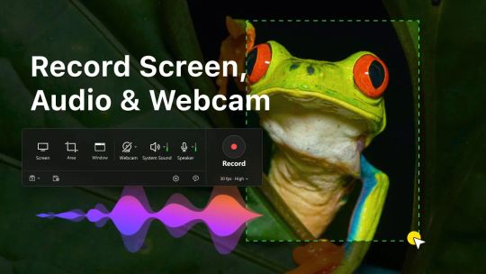 Screen Record‘ screenshot 1
