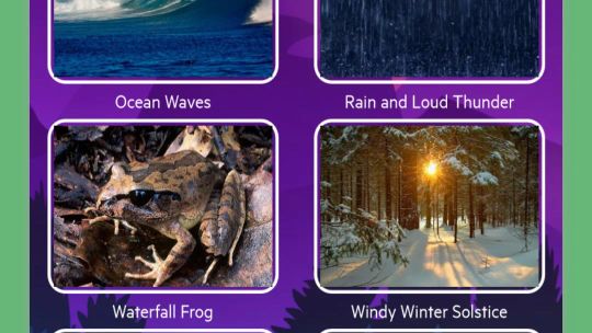 Relajate naturaleza sonidos screenshot 1