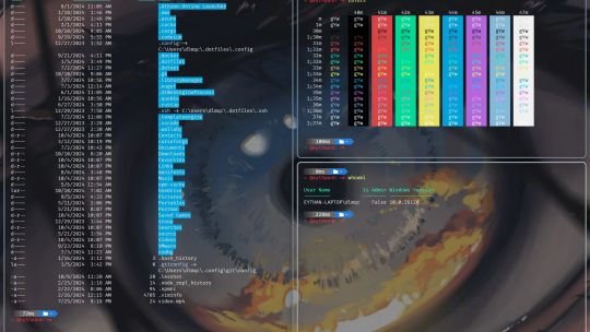 Seelen UI screenshot 5